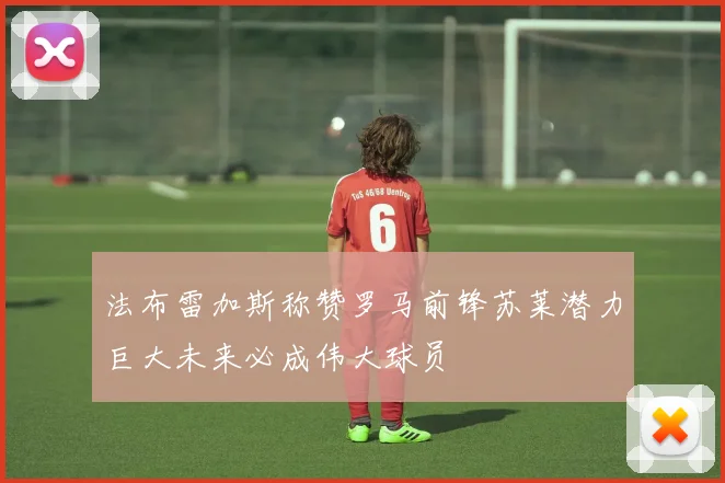 法布雷加斯称赞罗马前锋苏莱潜力巨大未来必成伟大球员