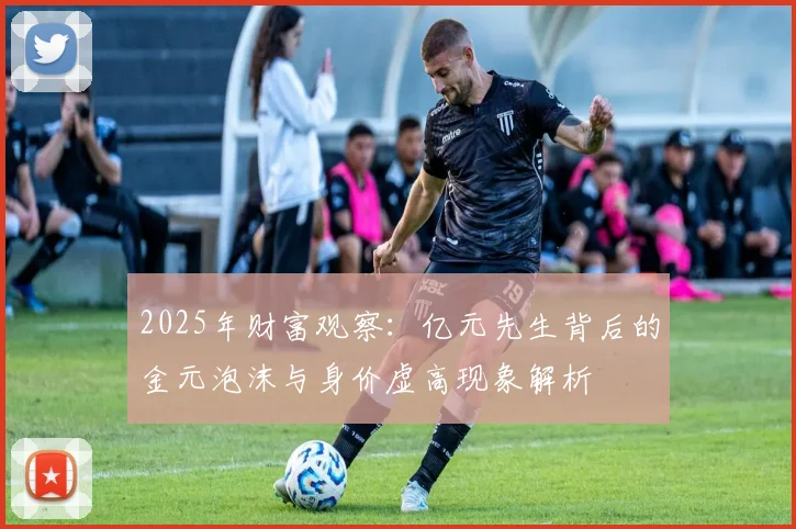 2025年财富观察：亿元先生背后的金元泡沫与身价虚高现象解析