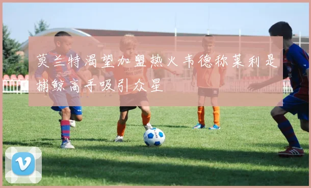 莫兰特渴望加盟热火韦德称莱利是捕鲸高手吸引众星