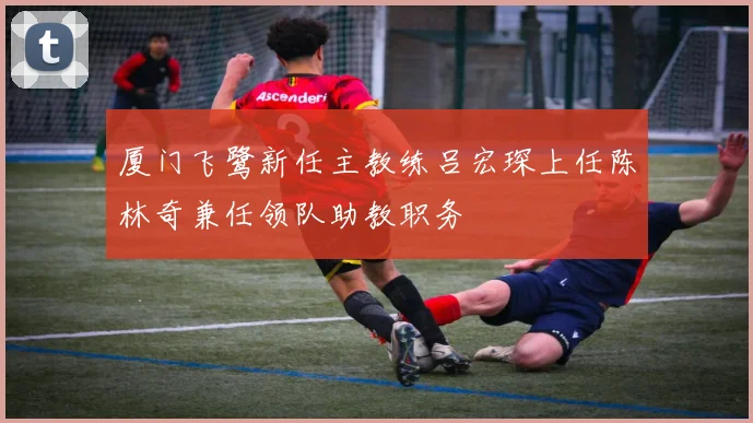 厦门飞鹭新任主教练吕宏琛上任陈林奇兼任领队助教职务