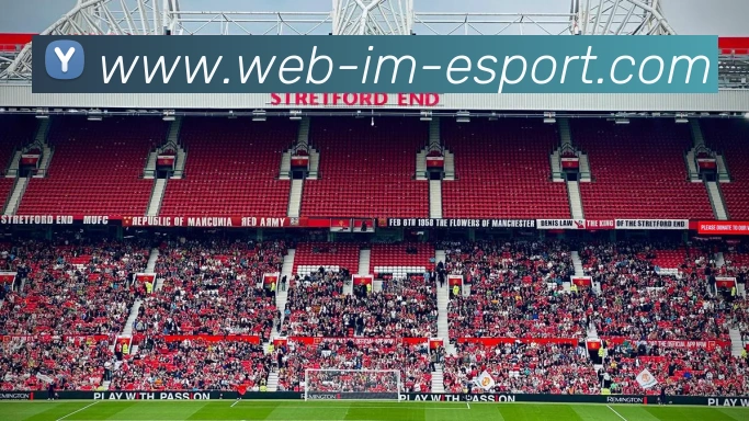 IM电竞平台生态图