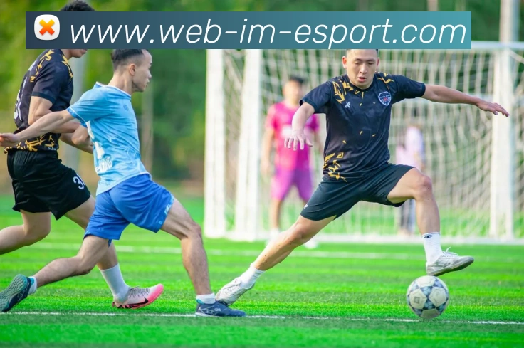 IM电竞APP 封面图